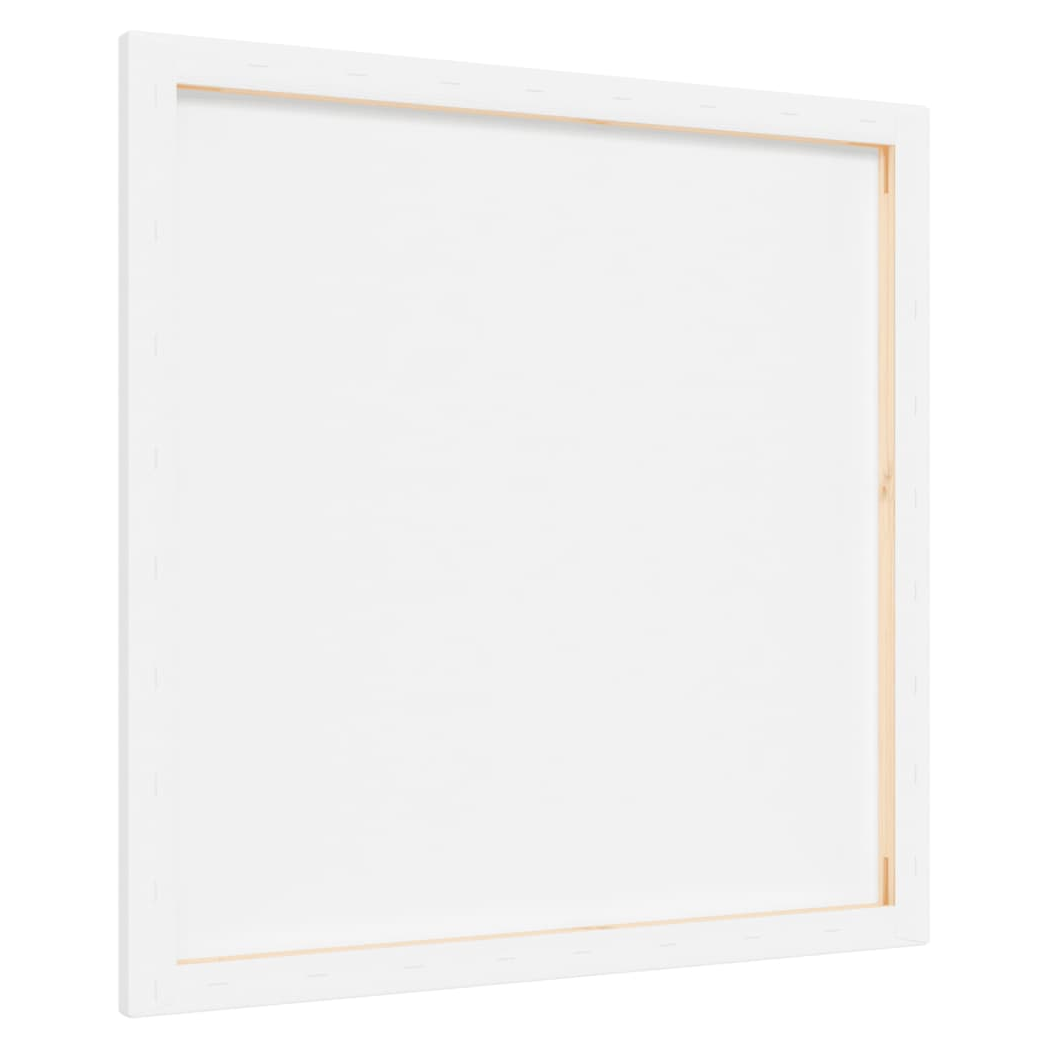 vidaXL Stretched Canvases 12 pcs White Fabric and Solid Wood Pine