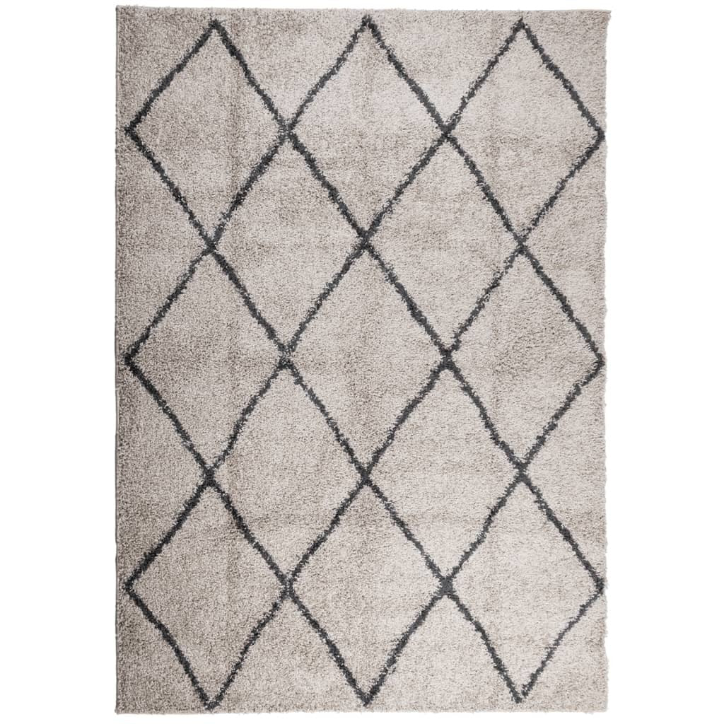 vidaXL Shaggy Rug High Pile Modern Beige and Anthracite 120x170 cm