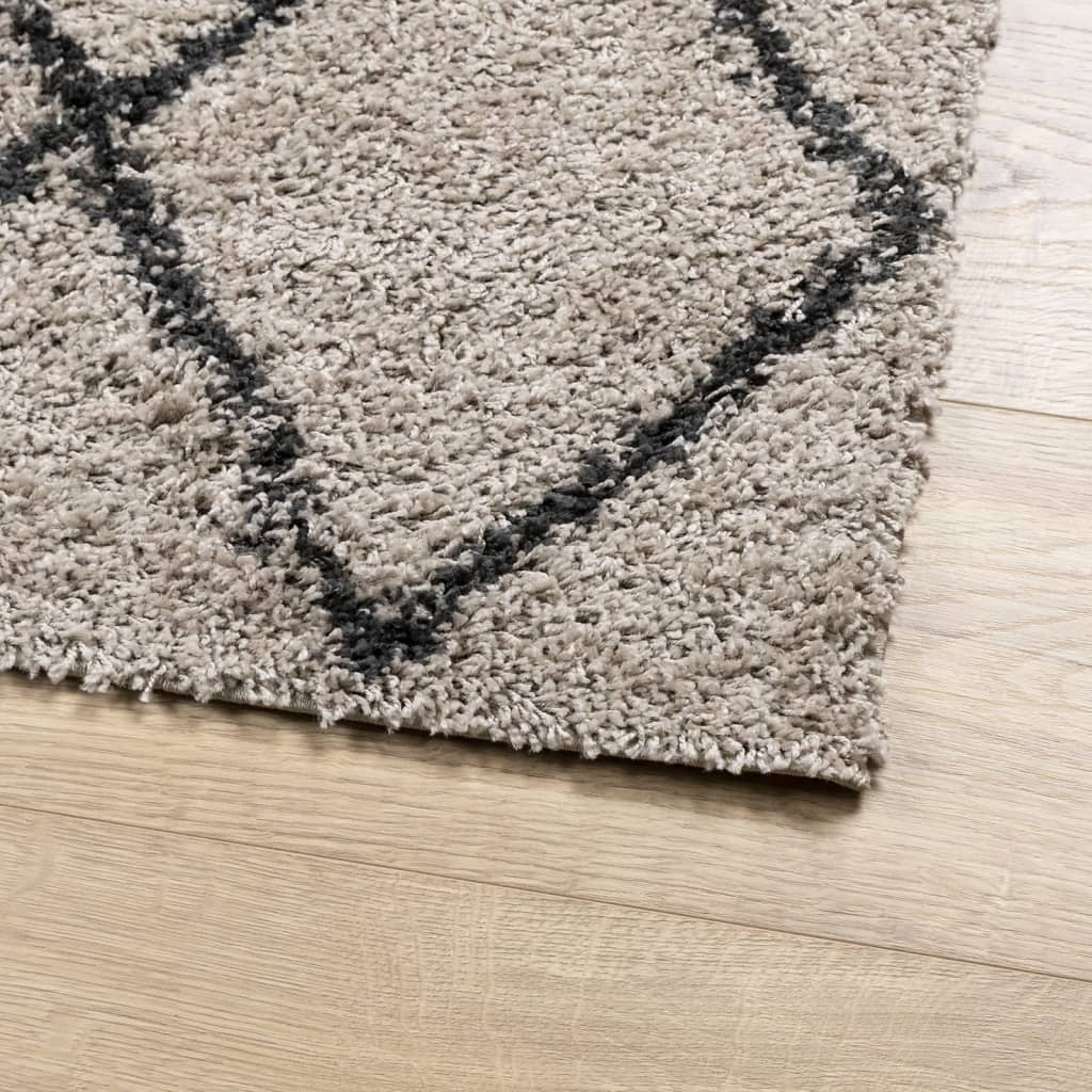 vidaXL Shaggy Rug High Pile Modern Beige and Anthracite 120x170 cm