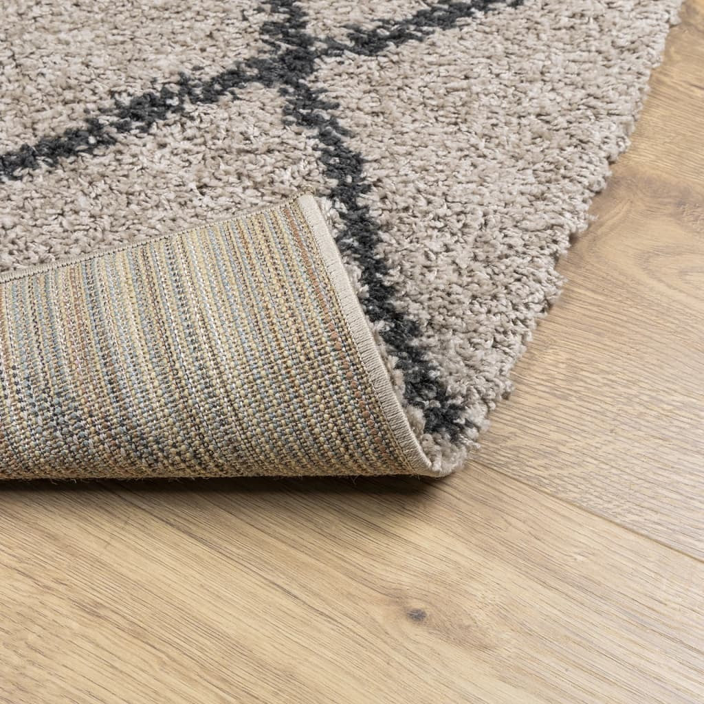 vidaXL Shaggy Rug High Pile Modern Beige and Anthracite 120x170 cm